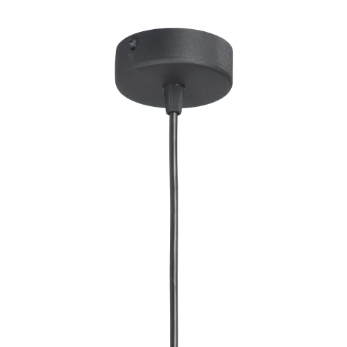 Светильник подвесной V4721-1/1S Vitaluce прозрачный на 1 лампу, основание чёрное в стиле арт-деко фото 4