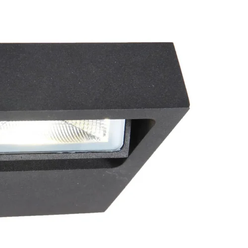 Настенный светильник Trendy 3033-1W Favourite уличный IP65 чёрный 1 лампа, плафон прозрачный в стиле современный LED фото 2