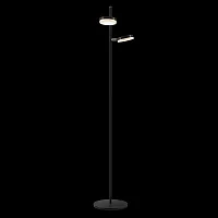 Торшер LED Fad MOD070FL-L12B3K Maytoni  чёрный белый 2 лампы, основание чёрное в стиле современный
