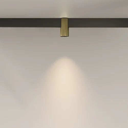 Трековый светильник LED Magnetic track system Exility TR122-2-7W3K-BS Maytoni латунь для шинопроводов серии Magnetic track system Exility латунь фото 13