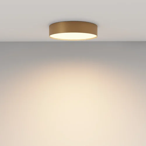 Светильник потолочный LED Zon C032CL-36W3K-RD-MG Maytoni белый на 1 лампу, основание матовое золото в стиле современный круглый тарелка фото 11