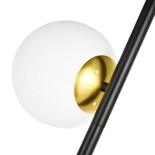 Торшер Alcor A2224PN-2BK Arte Lamp  белый 2 лампы, основание чёрное в стиле современный
 фото 2