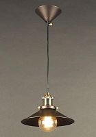 Светильник Эдисон подвесной CL450101 Citilux купить, отзывы, фото, быстрая доставка по Москве и России. Заказы 24/7