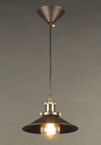 Светильник Эдисон подвесной CL450101 Citilux коричневый 1 лампа, основание бронзовое коричневое в стиле лофт 
