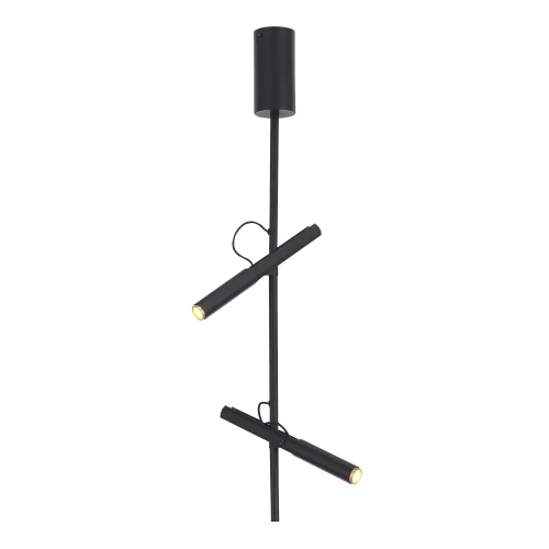Светильник подвесной LED Lilt SL6210.403.02 ST-Luce чёрный на 2 лампы, основание чёрное в стиле современный 