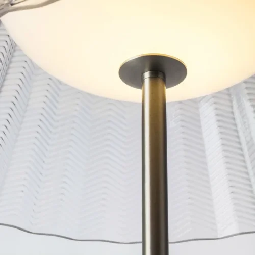Торшер LED Napoli 794710 Lightstar прозрачный на 1 лампу, основание коричневое в стиле классический современный фото 2