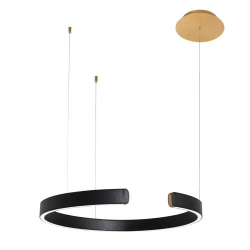Светильник подвесной LED Ring 10025/600 Black LOFT IT чёрный на 1 лампу, основание золотое в стиле современный хай-тек кольца