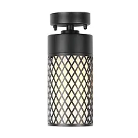 Потолочный светильник Barrel 3019-1P Favourite уличный IP44 чёрный 1 лампа, плафон белый в стиле современный E27