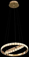 Светильник подвесной LED Vera WE458.02.323 Wertmark прозрачный 1 лампа, основание золотое в стиле хай-тек современный кольца