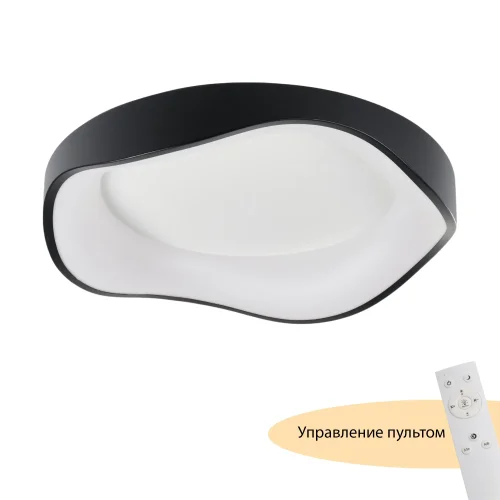 Люстра потолочная LED с пультом Diona MR9171-CL MyFar белая на 1 лампу, основание чёрное белое в стиле современный хай-тек 