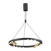 Светильник подвесной LED Beveren 3918/48L Odeon Light золотой на 1 лампу, основание чёрное в стиле современный хай-тек 
