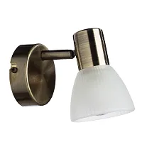 Бра  PARRY A5062AP-1AB Arte Lamp белый 1 лампа, основание античное бронза в стиле современный 
