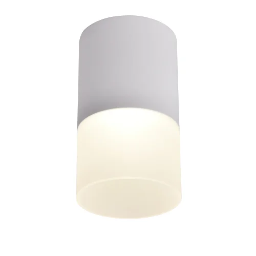 Светильник накладной LED Naram 3069-1C Favourite белый 1 лампа, основание белое в стиле современный круглый