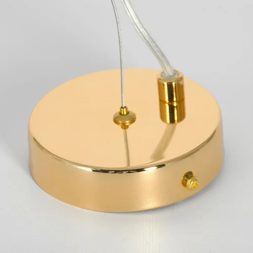 Люстра подвесная Davie LSP-8777 Lussole прозрачная на 8 ламп, основание золотое в стиле флористика современный ветви фото 4