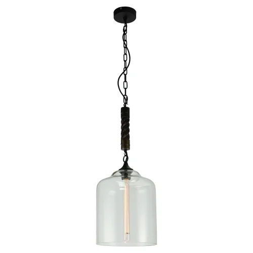 Светильник подвесной лофт LSP-9668 Lussole прозрачный 1 лампа, основание чёрное в стиле лофт  фото 2