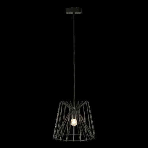 Светильник подвесной Deseno 10033 Black LOFT IT чёрный 1 лампа, основание чёрное в стиле современный лофт  фото 3