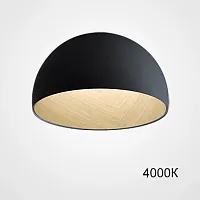Светильник потолочный BARA B D35 Black 4000К 224000-23 ImperiumLoft чёрный на 1 лампу, основание коричневое в стиле современный скандинавский минимализм 