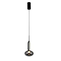 Светильник подвесной LED Baron 4284-1P Favourite чёрный на 1 лампу, основание чёрное в стиле современный 
