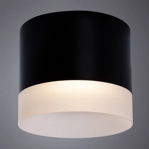 Светильник накладной Castor A5554PL-1BK Arte Lamp белый 1 лампа, основание чёрное в стиле современный круглый фото 2