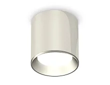 Светильник накладной Techno spot XS6305001 Ambrella light серебряный 1 лампа, основание серебряное в стиле модерн круглый