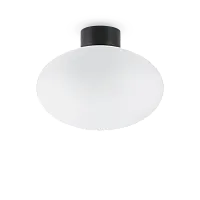 Потолочный светильник CLIO MPL1 NERO Ideal Lux уличный IP44 чёрный 1 лампа, плафон белый в стиле современный E27