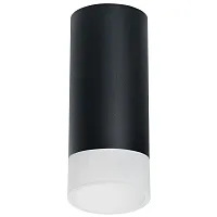 Светильник накладной Rullo R648781 Lightstar чёрный 1 лампа, основание чёрное в стиле современный круглый