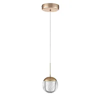 Светильник подвесной LED Rimini 8083/1A Lumion прозрачный на 1 лампу, основание золотое в стиле минимализм 
