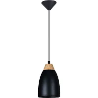 Светильник подвесной Leah TL0724H-2B Toplight чёрный 1 лампа, основание чёрное в стиле современный 