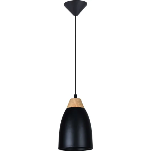 Светильник подвесной Leah TL0724H-2B Toplight чёрный на 1 лампу, основание чёрное в стиле современный 