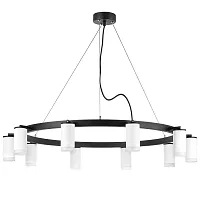 Люстра подвесная Rullo LR0203600 Lightstar белая на 10 ламп, основание чёрное в стиле хай-тек 