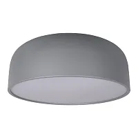 Светильник потолочный LED Axel 10201/480 Grey LOFT IT белый серый 1 лампа, основание серое в стиле современный 