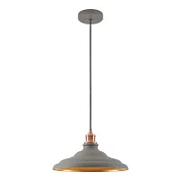 Светильник подвесной Badger LSP-8922 Lussole серый 1 лампа, основание серое в стиле современный лофт 