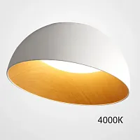 Светильник потолочный BARA A D50 White 4000К 223998-23 ImperiumLoft белый на 1 лампу, основание коричневое в стиле современный скандинавский минимализм 