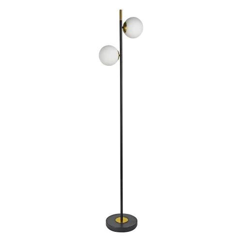 Торшер Alcor A2224PN-2BK Arte Lamp  белый 2 лампы, основание чёрное в стиле современный
