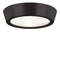 Светильник накладной LED Urbano mini 214774 Lightstar чёрный 1 лампа, основание чёрное в стиле хай-тек круглый
