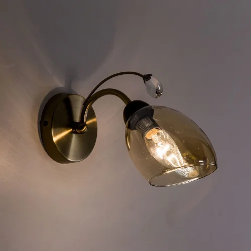 Бра Комета CL108315 Citilux прозрачный янтарный на 1 лампа, основание бронзовое в стиле современный  фото 4