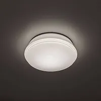 Светильник точечный LED Дельта CLD6008N Citilux белый 1 лампа, основание белое в стиле современный 