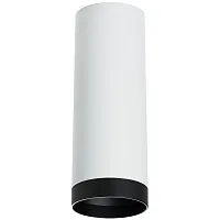 Светильник накладной Rullo R4863437 Lightstar белый 1 лампа, основание белое в стиле современный круглый