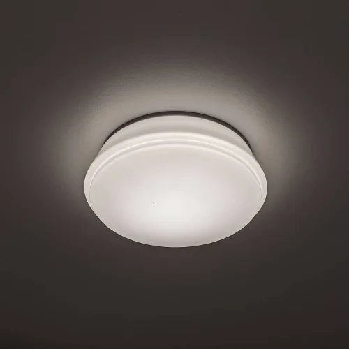Светильник точечный LED Дельта CLD6008N Citilux белый 1 лампа, основание белое в стиле современный 