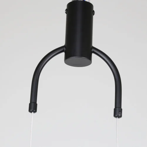 Светильник подвесной LED Levitas 4191-1P Favourite чёрный 1 лампа, основание чёрное в стиле современный  фото 3