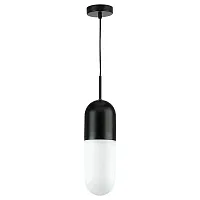 Светильник подвесной Ramo 690117 Lightstar белый 1 лампа, основание чёрное в стиле современный 