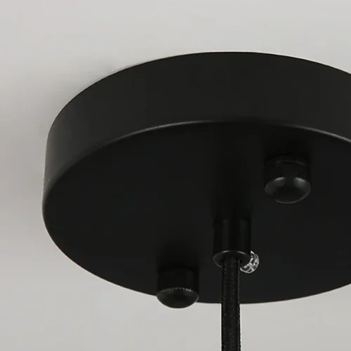 Люстра подвесная FANNY 16 Black 212348-23 ImperiumLoft чёрная на 16 ламп, основание чёрное в стиле современный  фото 11