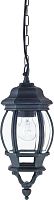 Подвесной светильник Paris 1806-1P Favourite уличный IP44 чёрный 1 лампа, плафон прозрачный в стиле кантри классический E27