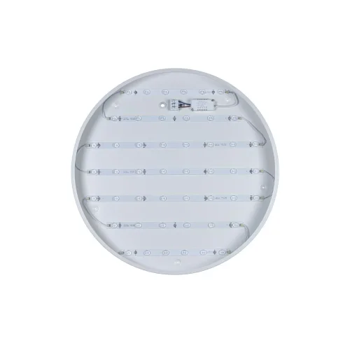 Светильник потолочный LED Axel 10002/48 White LOFT IT белый 1 лампа, основание белое в стиле современный  фото 4