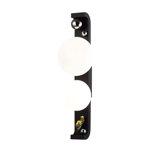Настенный светильник уличный Luma 5434/2W Odeon Light уличный IP54 чёрный на 2 лампы, плафон белый в стиле флористика скандинавский современный G9 фото 4