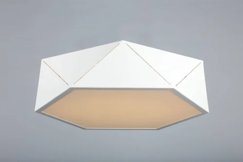 Люстра потолочная LED Evesham OML-45307-26 Omnilux белая на 1 лампа, основание белое в стиле хай-тек  фото 3