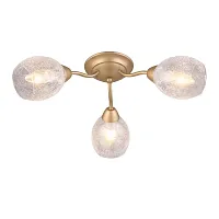 Люстра потолочная Миглионико (Miglionico) OML-55507-03 Omnilux прозрачная на 3 лампы, основание бронзовое в стиле современный Люстра потолочная Миглионико (Miglionico) OML-55507-03 Omnilux прозрачная на 3 лампы, основание бронзовое в стиле современный