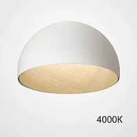 Светильник потолочный BARA B D50 White 4000К 224006-23 ImperiumLoft белый на 1 лампу, основание коричневое в стиле современный скандинавский минимализм 