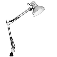 Настольная лампа на струбцине Senior A6068LT-1SS Arte Lamp серебряная серая 1 лампа, основание серебряное серое полимер в стиле модерн 