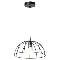 Светильник подвесной Lattice LSP-8213 Lussole чёрный 1 лампа, основание чёрное в стиле современный 